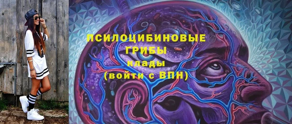 гидропоника Ладушкин