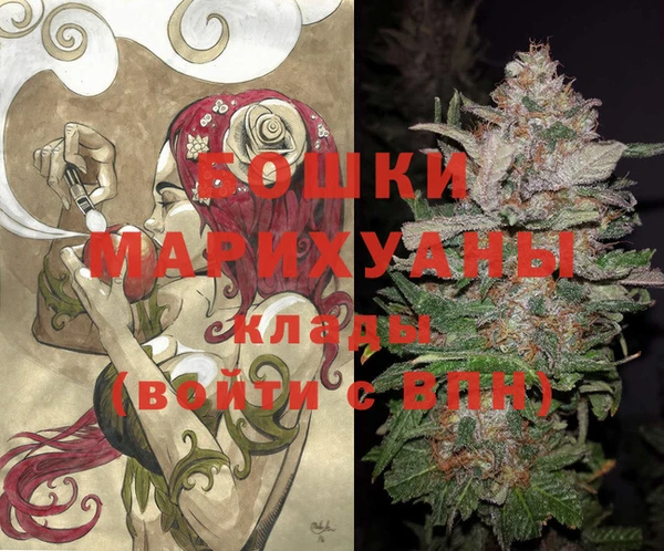 шишки Алексин